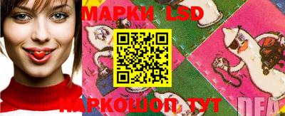 СК Заволжье