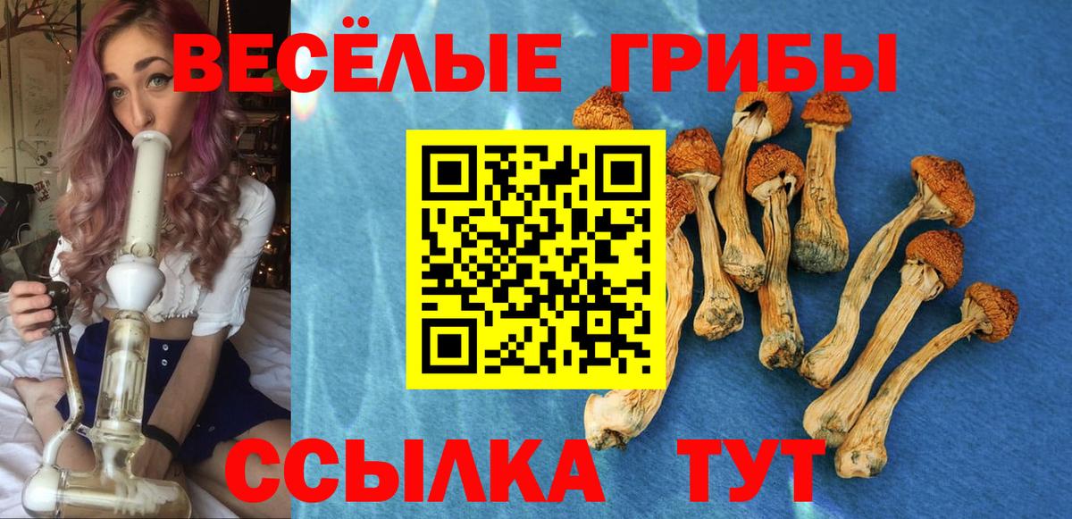 Галлюциногенные грибы ЛСД  Вход с VPN  Лысьва 